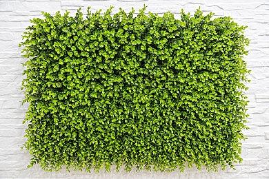 马斯克沉迷《暗黑4》 组队通关齐尔屠宰场25层